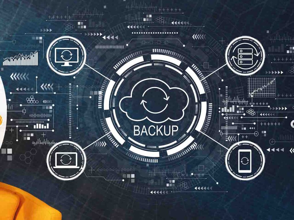 backup for Large Enterprises and Government Organizations